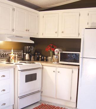 art_60834_Cabinet lead.JPG